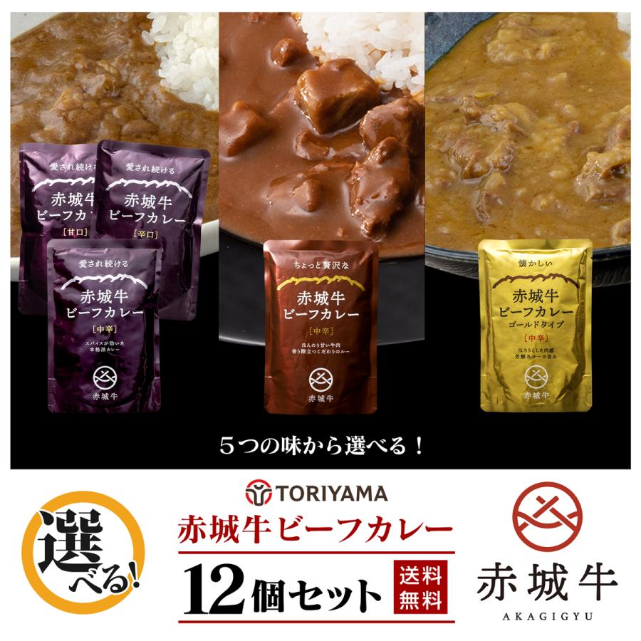 赤城牛ビーフカレー 12袋 セット 選べる5種 ブランド牛 レトルトカレー 