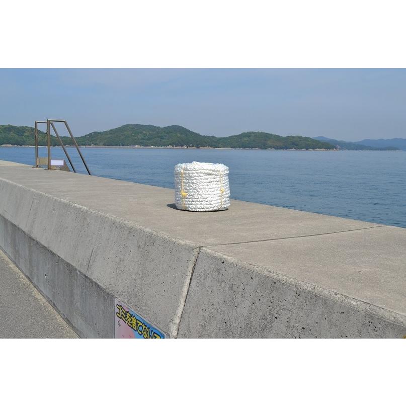 18mm100mEKスーパーエステル8クロス打マリンロープ : ロープ