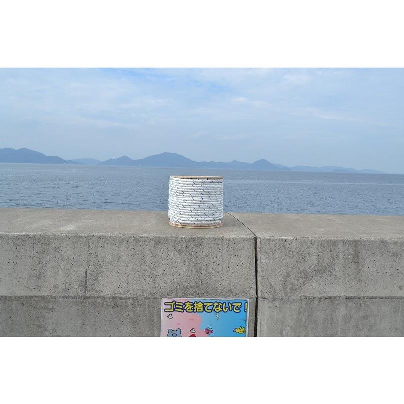18mm200mWBスーパーエステル24打ホワイトロープ : ロープ 18mm200mWBスーパーエステル24打ホワイトロープ : ロープ
