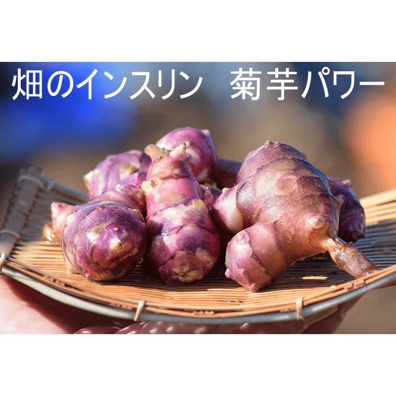 国産 赤菊芋パウダー 希少品種 40g お試し 赤菊芋粉末 青森県産 無添加 無着色 無香料 菊芋茶 送料無料 菊芋の食べ方 キクイモ きく芋 国産 イヌリン :akakiku-0040:グルメ通り ヤフー店 通販 あさぎり味噌 2kg