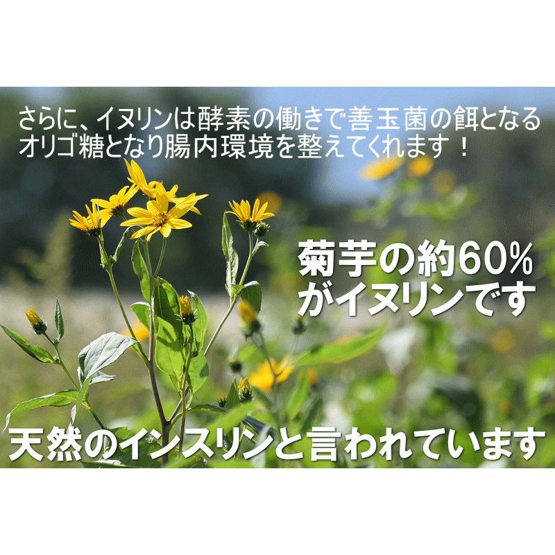 国産 赤菊芋パウダー 希少品種 100g 赤菊芋粉末 青森県産 無添加 無着色 無香料 菊芋茶 送料無料 菊芋の食べ方 キクイモ きく芋 国産 イヌリ :akakiku-0100:グルメ通り - 通販 - Yahoo!ショッピング 国産 赤菊芋パウダー 希少品種 100g 赤菊芋粉末 青森県産 無添加 無着色 無香料 菊芋茶 送料無料 菊芋の食べ方 キクイモ きく芋 国産 イヌリ :akakiku-0100:グルメ通り - 通販 - Yahoo!ショッピング