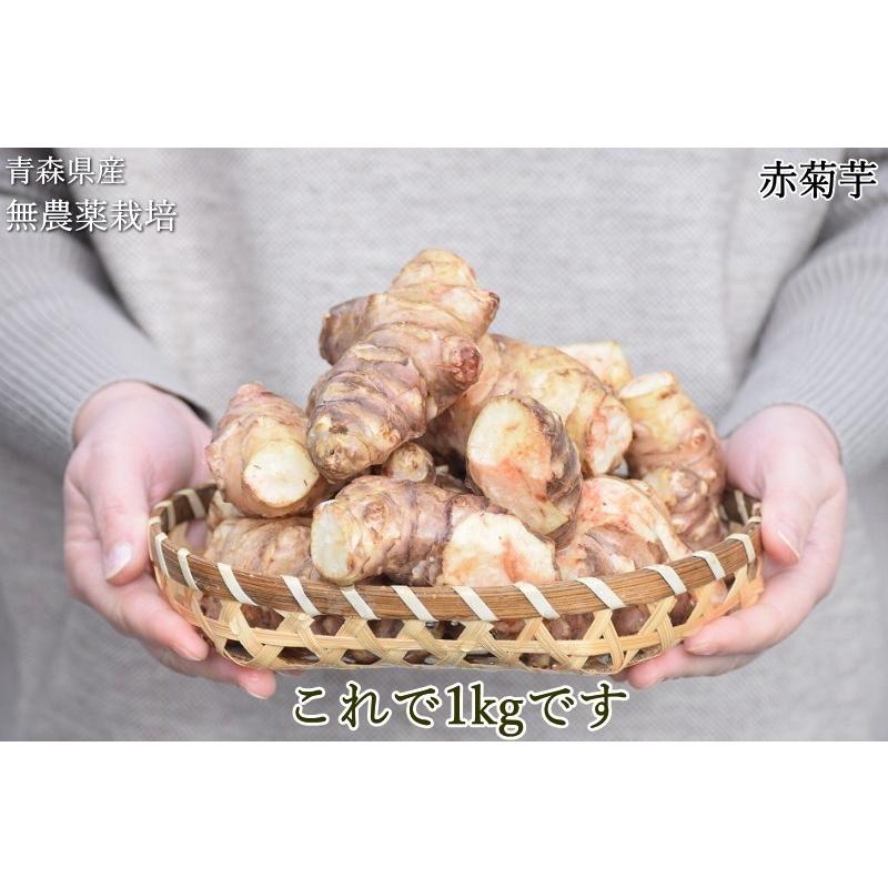 赤菊芋 菊芋 10kg 送料無料 栽培期間中農薬不使用 洗浄済み 訳 赤菊芋 菊芋 10kg 送料無料 栽培期間中農薬不使用 洗浄済み 訳