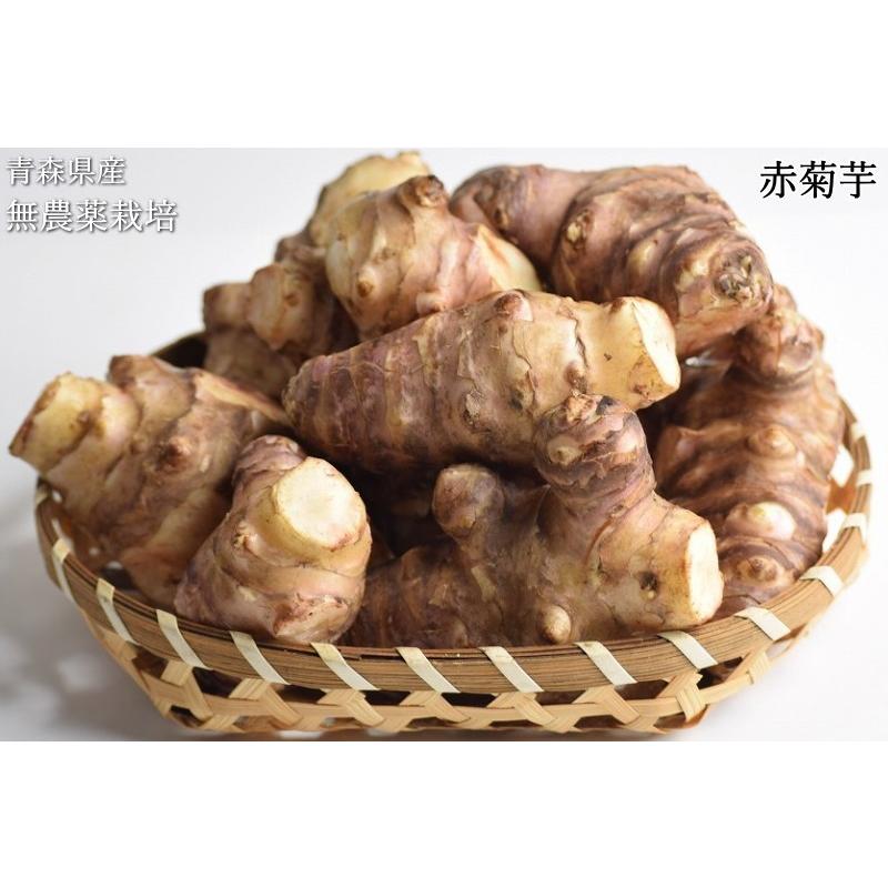 赤菊芋 菊芋 10kg 送料無料 栽培期間中農薬不使用 洗浄済み 訳 赤菊芋 菊芋 10kg 送料無料 栽培期間中農薬不使用 洗浄済み 訳