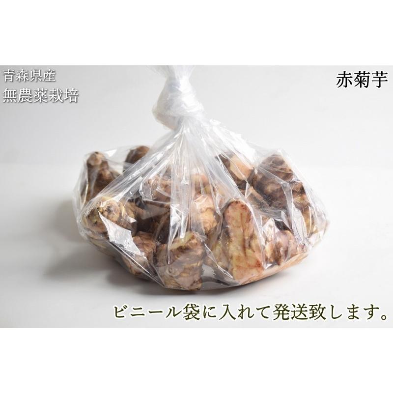 赤菊芋 菊芋 1kg 送料無料 栽培期間中農薬不使用 洗浄済み 訳あり