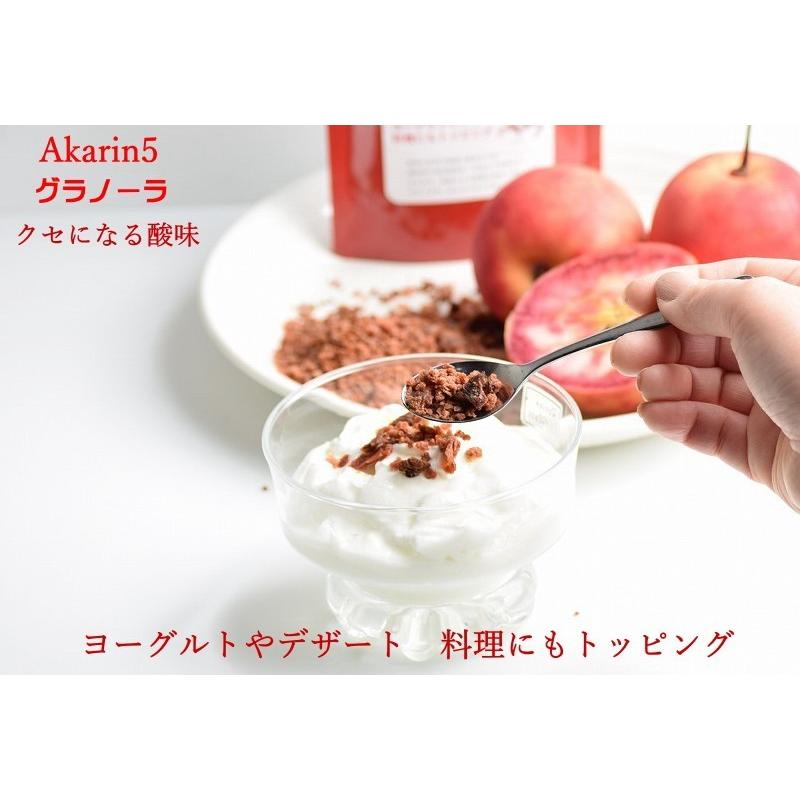 フルーツグラノーラ 青森りんご ドライフルーツ 送料無料 Akarin5 青森県産 無添加 無着色 無香料 赤リンゴ 御所川原 メール便 |  | 02