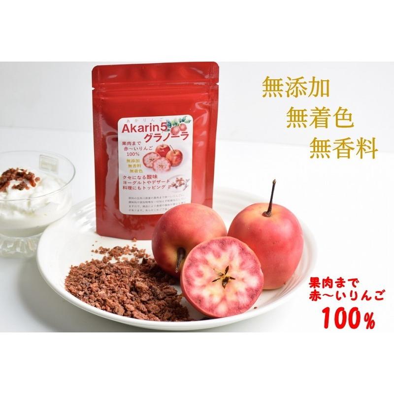 フルーツグラノーラ 青森りんご ドライフルーツ 送料無料 Akarin5 青森県産 無添加 無着色 無香料 赤リンゴ 御所川原 メール便 |  | 03