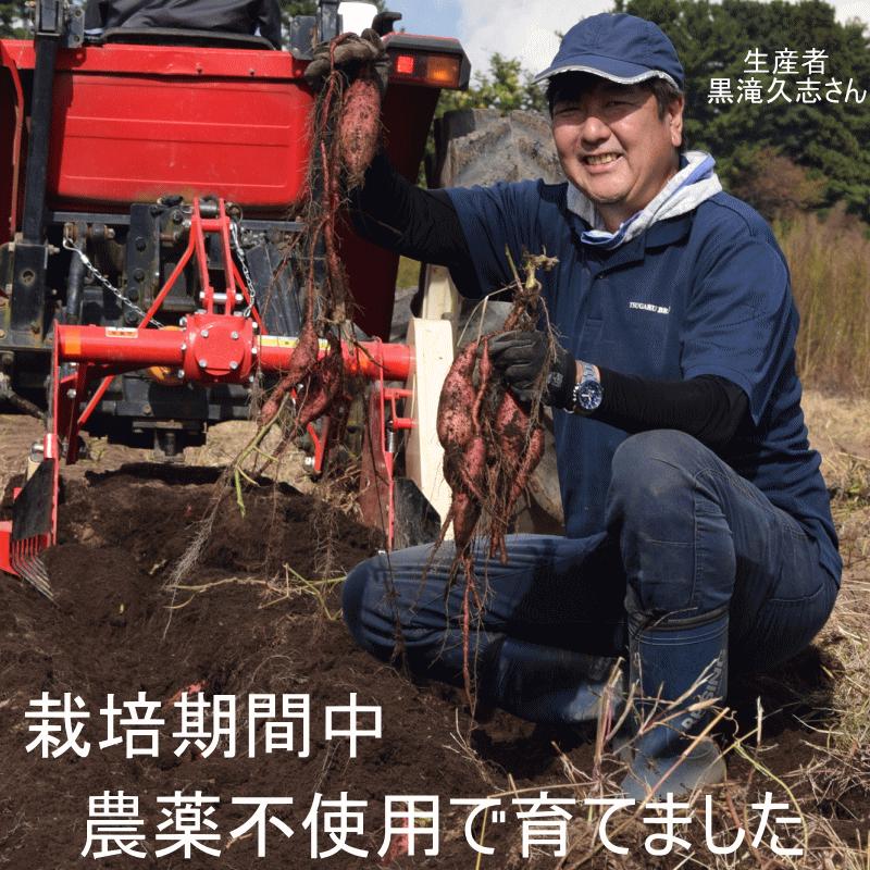 安納芋 訳あり 5kg 青森県産 栽培期間中農薬不使用 サイズ混合 送料