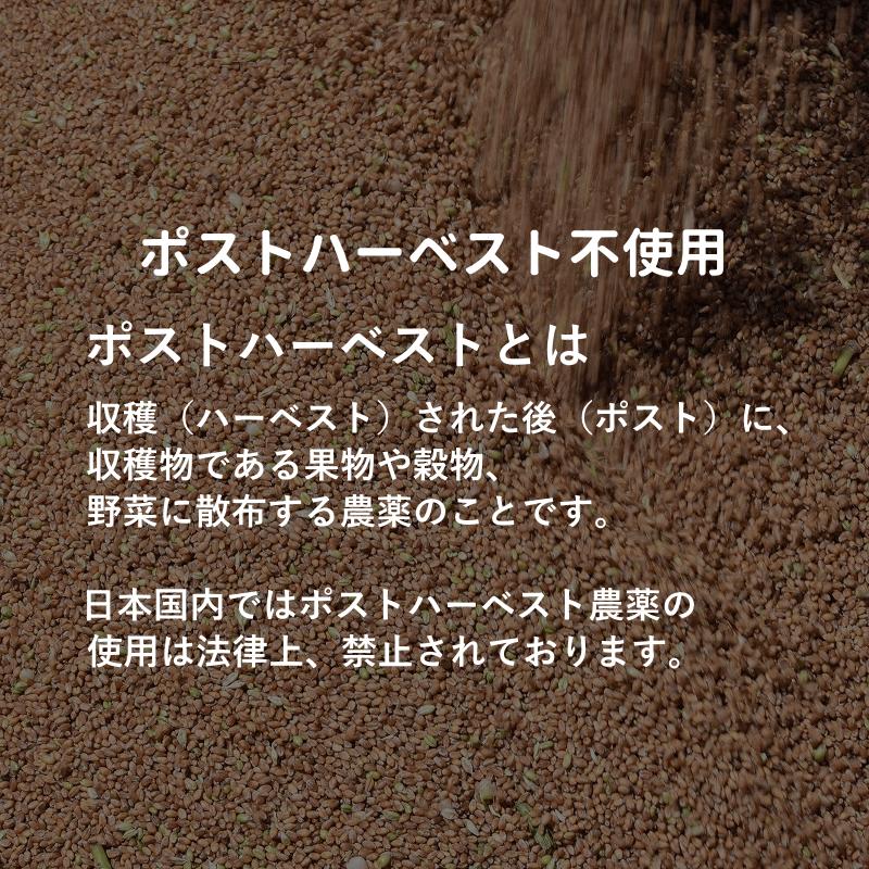 ふす（こまい） 小麦ふすま粉「こまい」栽培期間中 農薬不散布 ふすま粉 20kg 2kg×10 送料無料 青森県産 日本の小麦 パン作り クッキー ドーナツ｜gurumedoori｜13