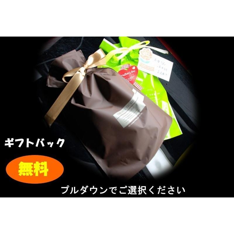 ホタテ貝柱 磯焼ホタテ貝 送料無料 帆立 貝柱 100g とてもやわらか 青森県むつ湾産 干し貝柱 ホタテ貝柱 乾燥 メール便 酒の肴 鮭のつまみ 珍味 おつまみ｜gurumedoori｜06