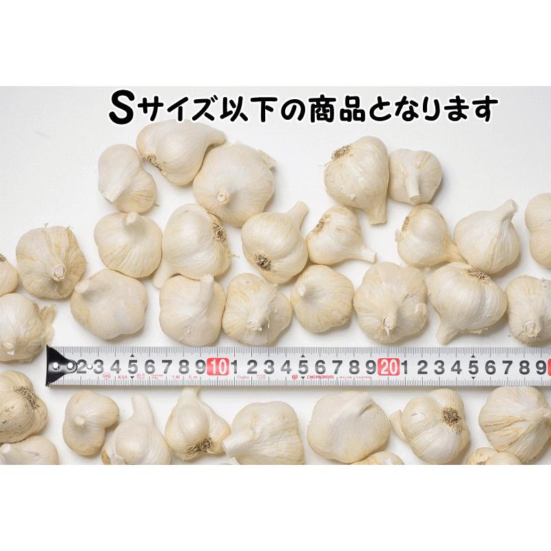 にんにく (産直) 青森 生産者直送 1kg 小玉 訳あり Sサイズ以下 にんにく (産直) 青森 生産者直送 1kg 小玉 訳あり Sサイズ以下