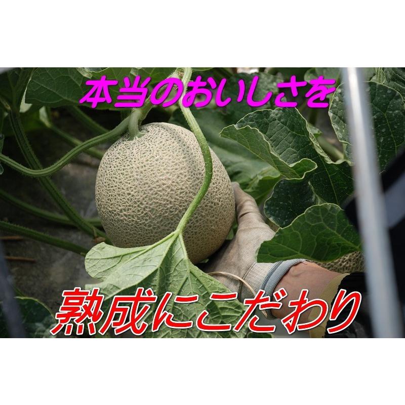メロン わけあり 送料無料 食べごろにこだわり熟成 順次発送 メロン 訳あり 青森県産 約5kg 3玉 5玉 タカミメロン Meron Wakeari3kg グルメ通り 通販 Yahoo ショッピング
