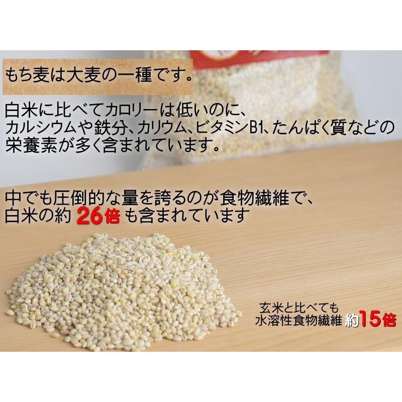 もち麦 国産 送料無料  はねうまもち 農薬不使用 青森県産 お試し 300g(50g×6)個包装  つがるもち麦 美仁 スーパーフード もち麦ごはん｜gurumedoori｜03