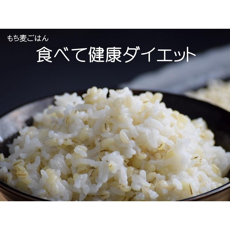 15kg もち麦 5kg ×3 もち麦 国産 送料無料  はねうまもち 農薬不使用 青森県産 つがるもち麦 美仁 びじん スーパーフード βグルカン ダイエット もち麦ごはん｜gurumedoori｜05