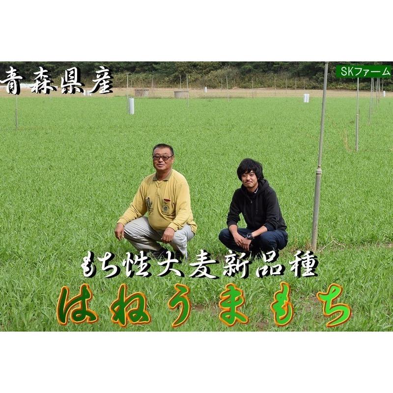 もち麦 国産 送料無料  はねうまもち 青森県産 お得な 900g×10 つがるもち麦 美仁 びじん スーパーフード βグルカン ダイエット もち麦ごはん