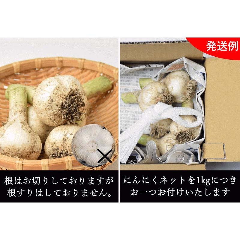 新鮮生ニンニク 10キロ9000円