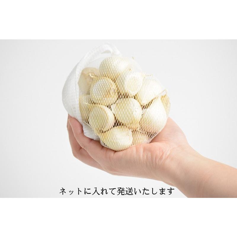 新物】にんにく 青森 生産者直送 180g 皮剥げ無し バラ 約10〜30片 3.3