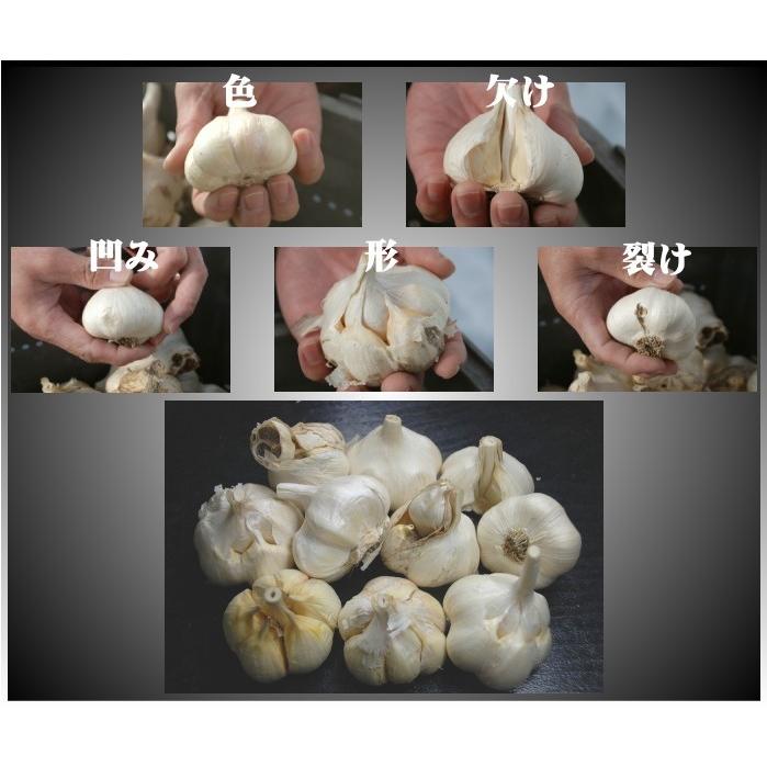 予約 (産直) にんにく 青森県産 こちらは生産者直送のニンニクです Mサイズ以上混合玉 1kg 約15〜18玉 訳あり 黒にんにく用 ニンニク｜gurumedoori｜08