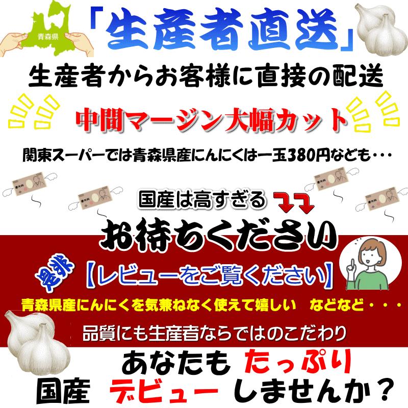 予約 (産直) にんにく 青森県産 こちらは生産者直送のニンニクです Mサイズ以上混合玉 1kg 約15〜18玉 訳あり 黒にんにく用 ニンニク｜gurumedoori｜03