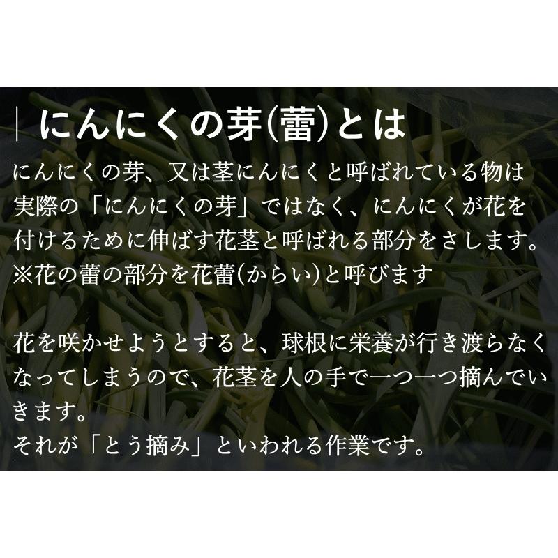 生産者直送 ニンニクの芽 国産 300g 3 令和4年産 青森県産ニンニク 津軽 にんにくの芽 冷凍 にんにく 青森 にんにく 国産 青森ニンニク 業務用 Ninnniku Me 300g 3 グルメ通り 通販 Yahoo ショッピング