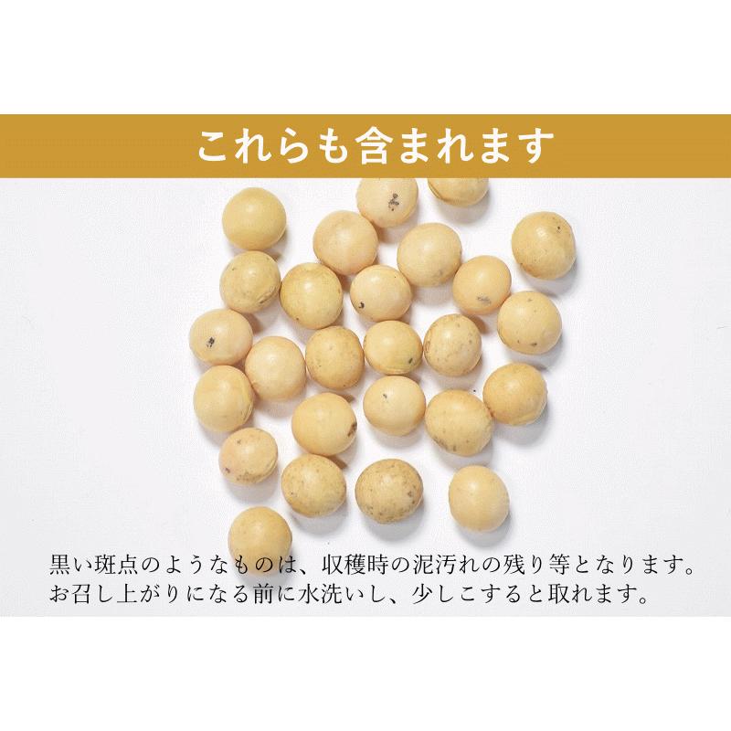 大豆 国産 おおすず 10kg 業務用 国産大豆 青森県産 乾燥大豆 だいず 豆 ソイ 豆腐作り 味噌づくり 送料無料 畑の肉 大豆イソフラボン｜gurumedoori｜11