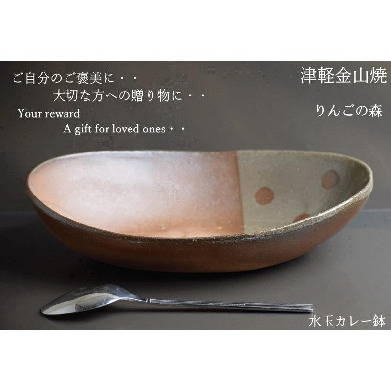 りんごの森 水玉 カレー鉢 約24.5-16-h6-433g カレー皿 陶器 渋い 楕円