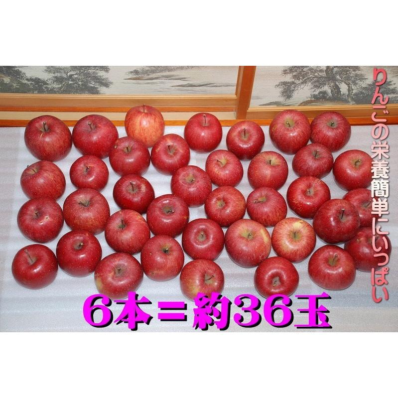 無添加 りんごジュース 青森 送料無料 1L×6本 100% りんごジュース ストレート 飲む生果りんご アップルジュース 青森りんご 青森リンゴ｜gurumedoori｜08