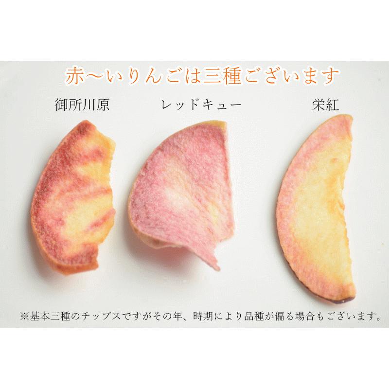 青森県産 りんごチップス 50g×20袋 楽天市場】りんご チップス 青森の通販