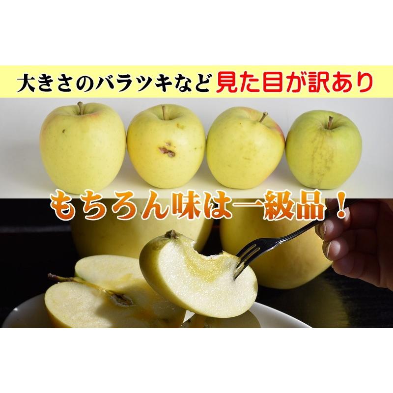 ぐんま名月 5kg 宮西農園 青森 りんご 訳あり 送料無料 家庭用 甘みと香りと歯触りのバランスが人気 みやにし農園 群馬名月りんご Wake Meigetu Miya 5kg グルメ通り 通販 Yahoo ショッピング