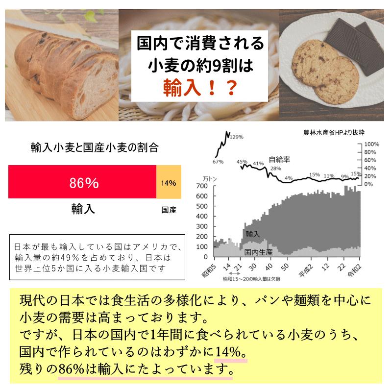 業務用 強力粉 国産 小麦粉 25kg 栽培期間中 農薬不散布 送料 業務用 強力粉 国産 小麦粉 25kg 栽培期間中 農薬不散布 送料