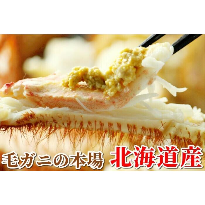 北海道産　冷凍ゆで毛蟹1キロ×2 訳あり 活毛ガニ 北海道産 冷蔵 2尾セット 合計1kg前後 活き 未