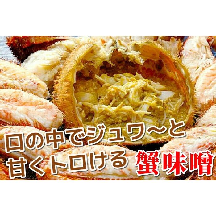 毛ガニ 特大サイズ 毛蟹 2kg (1kg×2尾) メガサイズ 北海道産