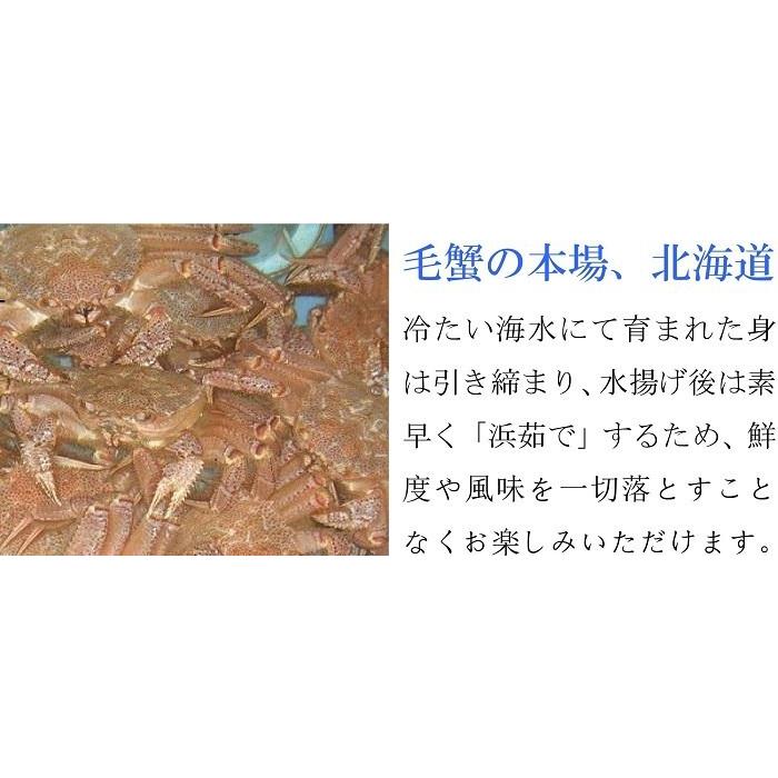 毛ガニ 特大サイズ 毛蟹 2kg (1kg×2尾) メガサイズ 北海道産 ギフト