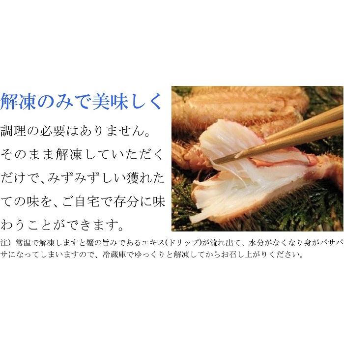 毛ガニ 特大サイズ 毛蟹 2kg (1kg×2尾) メガサイズ 北海道産 ギフト