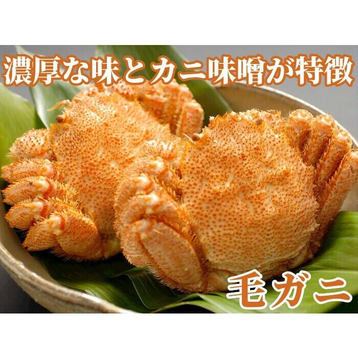 毛ガニ 毛蟹 ボイル 冷凍 北海道産 1.89kg (630g×3尾) 蟹 セット