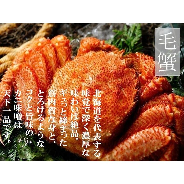 毛ガニ 毛蟹 ボイル 冷凍 北海道産 1.89kg (630g×3尾) 蟹 セット