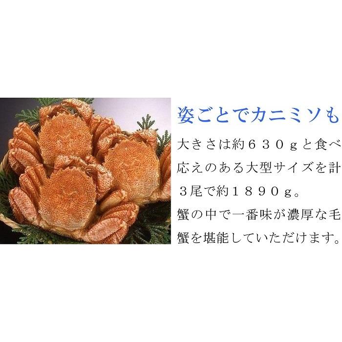 毛ガニ 毛蟹 ボイル 冷凍 北海道産 1.89kg (630g×3尾) 蟹 セット