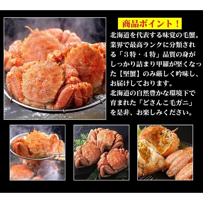 北海道産★ボイル冷凍特大毛蟹(約600g)★蟹味噌タップリ★毛ガニ・蟹の甲羅焼き ≪送料無料≫【北海道産 ボイル毛蟹 500g×2尾】濃厚なカニ味噌が