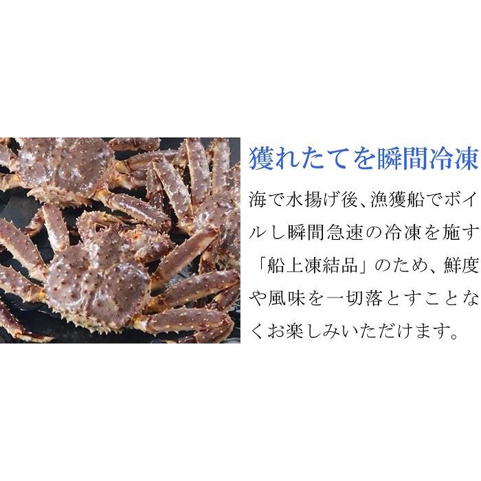 タラバガニ ボイル蟹 特大 足 2kg (1kg×2肩) セット 5Lサイズ ギフト