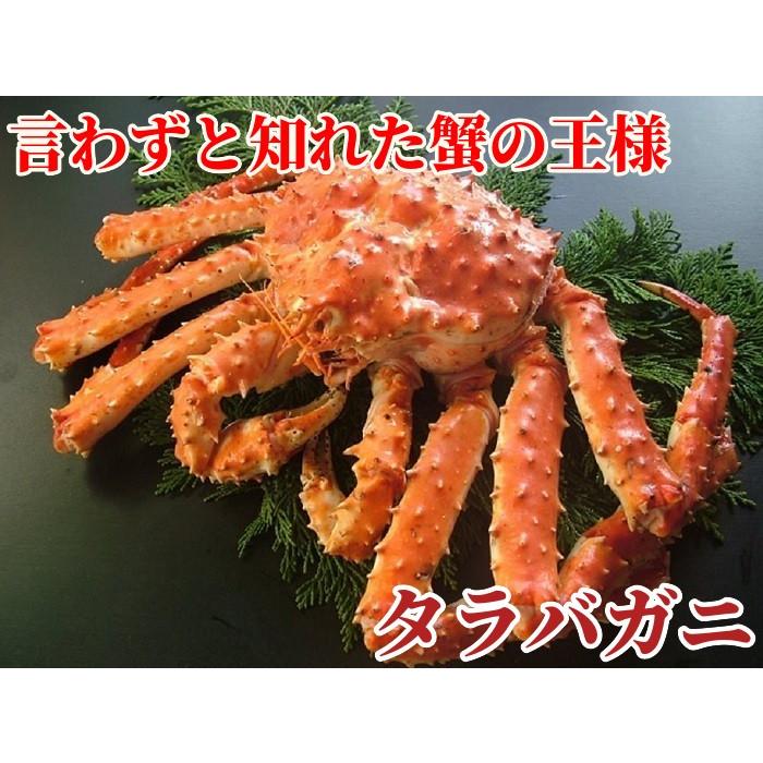 ボイルタラバガニ 冷凍 蟹足 大サイズ 4Lサイズ 1.6kg (800g×2肩