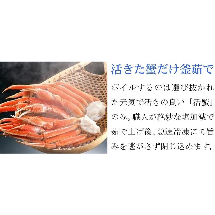 ズワイガニ 2kg 特大 ボイル蟹 足 2キロ ずわいがに ギフト 5Lサイズ 冷凍 北海道加工 脚 本ずわい蟹｜gurumeitiba｜08