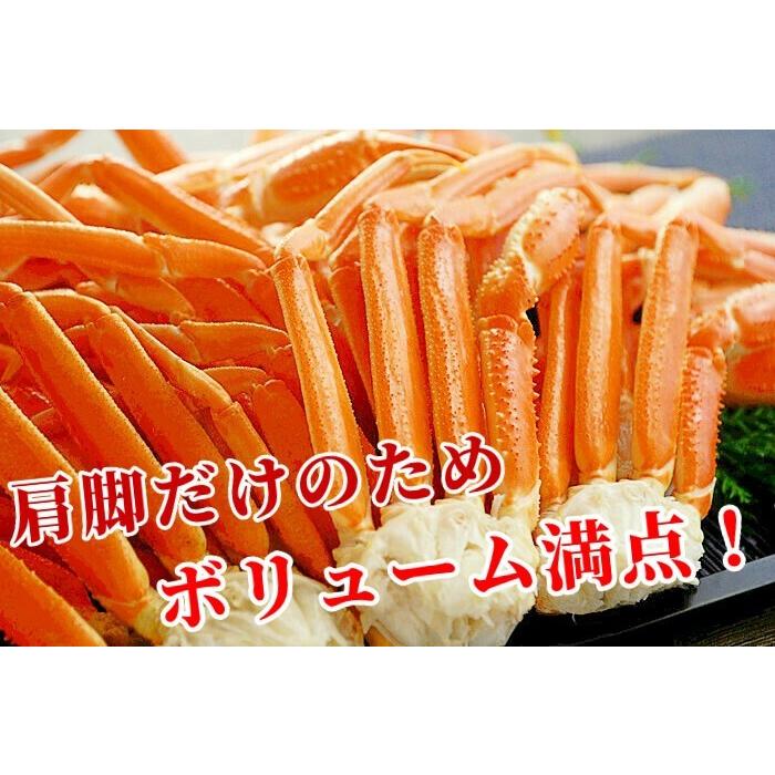 ズワイガニ 5kg 訳あり 足 蟹 メガ盛り ボイル 23肩前後 冷凍 ギフト