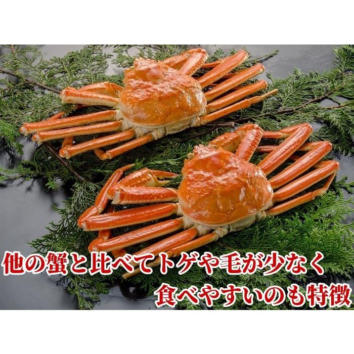 ボイルズワイガニ姿1キロ ズワイガニ姿 1kg ボイル 特大サイズ 1杯 ギフト 冷凍 ずわい蟹 北海道