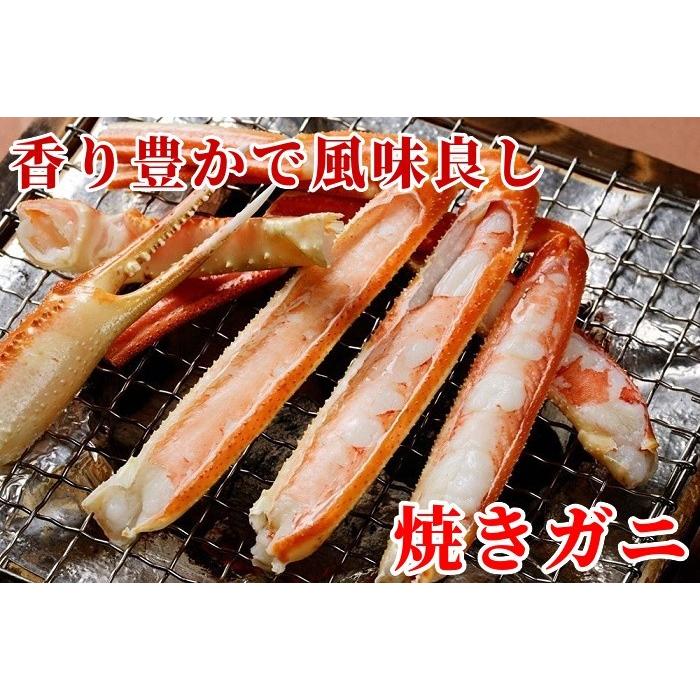 ズワイガニ姿 1kg ボイル 特大サイズ 1杯 ギフト 冷凍 ずわい蟹 北海道