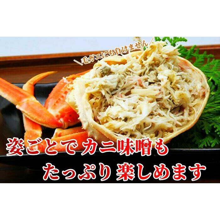 ズワイガニ姿 1kg ボイル 特大サイズ 1杯 ギフト 冷凍 ずわい蟹 北海道