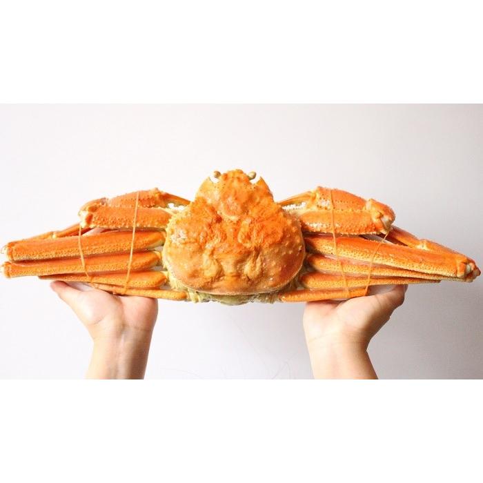 ズワイガニ ブランド買うならブランドオフ 蟹 姿 特大 1kg ギフト ボイル 北海道加工 冷凍 蟹味噌 ずわい蟹 かに 堅ガニ