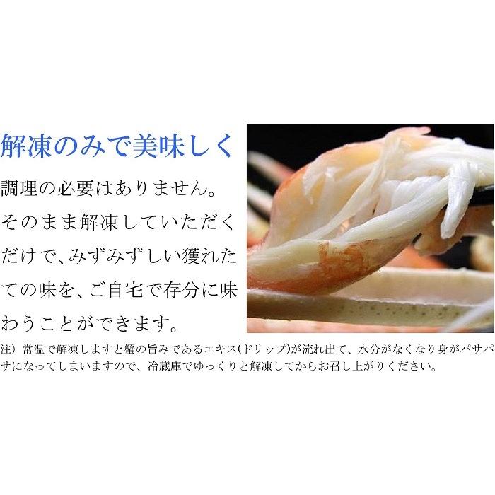 ズワイガニ姿 1kg ボイル 特大サイズ 1杯 ギフト 冷凍 ずわい蟹 北海道