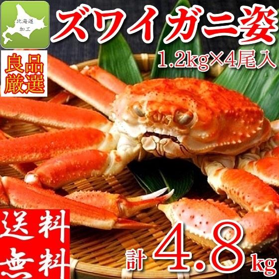 ズワイガニ 蟹 姿 超特大 計4.8kg (1.2kg×4尾) メガサイズ 巨大 ボイル 冷凍 ギフト かに 北海道加工 蟹味噌 堅蟹 ずわい蟹