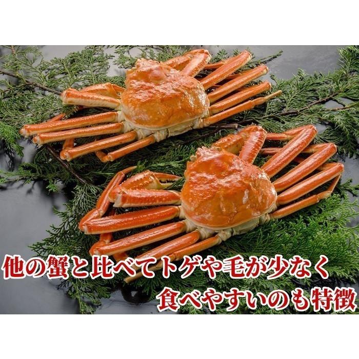 ズワイガニ 蟹 姿 超特大 計4.8kg (1.2kg×4尾) メガサイズ 巨大 ボイル 冷凍 ギフト かに 北海道加工 蟹味噌 堅蟹 ずわい蟹 