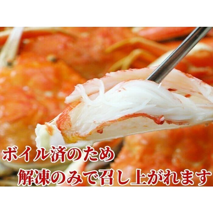 ズワイガニ 蟹 姿 超特大 計4.8kg (1.2kg×4尾) メガサイズ 巨大 ボイル 冷凍 ギフト かに 北海道加工 蟹味噌 堅蟹 ずわい蟹 
