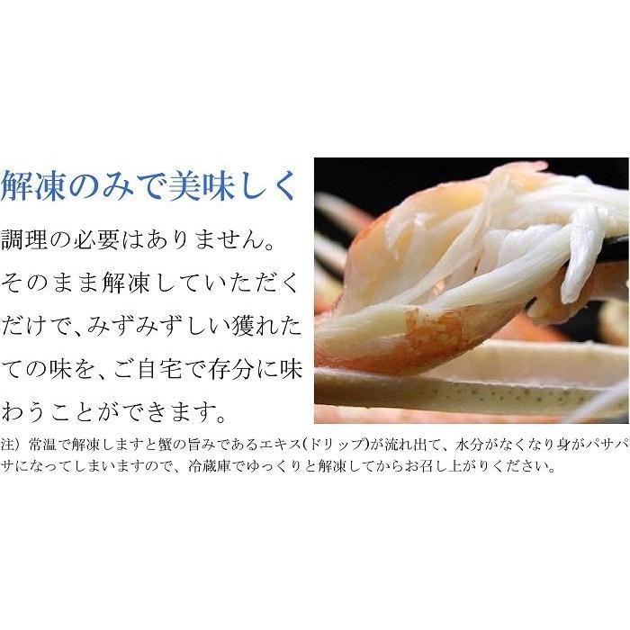 ズワイガニ 蟹 姿 超特大 計4.8kg (1.2kg×4尾) メガサイズ 巨大 ボイル 冷凍 ギフト かに 北海道加工 蟹味噌 堅蟹 ずわい蟹 